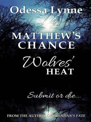 cover image of Matthew's Chance